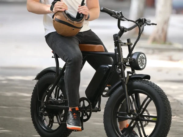 ElectricBike7